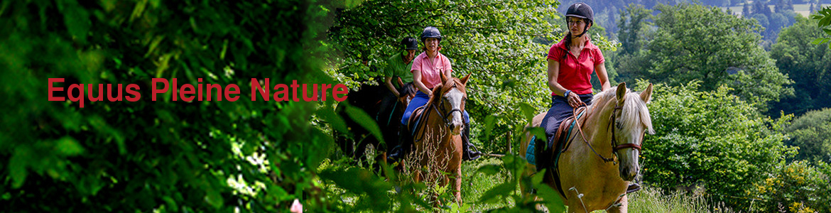 Equus Pleine Nature